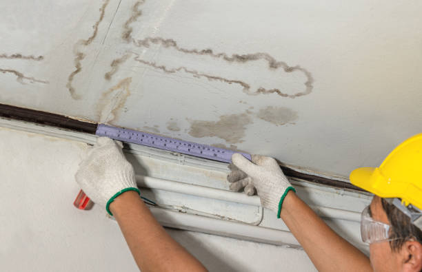 Reliable Water Damage contractor in Hainesport, NJ by Water Damage Irwin